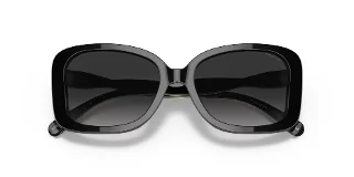 Coach Sunglasses HC8334U