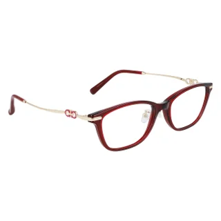 Salvatore Ferragamo Eyeglasses SF2900A