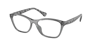 5799 Shiny Transparent Grey