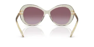 Swarovski Sunglasses SK6026F