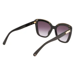 Longchamp Sunglasses LO692S N