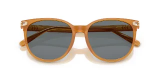 Coach Sunglasses HC8414BD