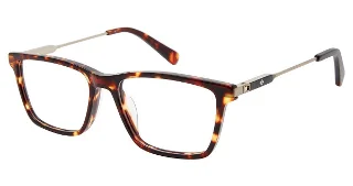 C02 Tortoise/Gun