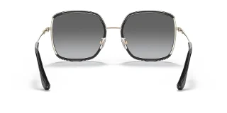Coach Sunglasses HC7139BD