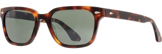 C03 Tortoise