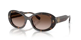 172813 Brown Tortoise