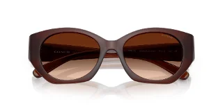 Coach Sunglasses HC8407U