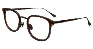 John Varvatos Eyeglasses V410