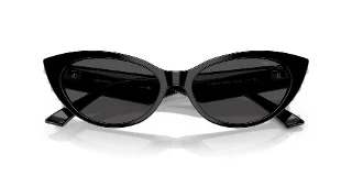 Jimmy Choo Sunglasses JC5023H