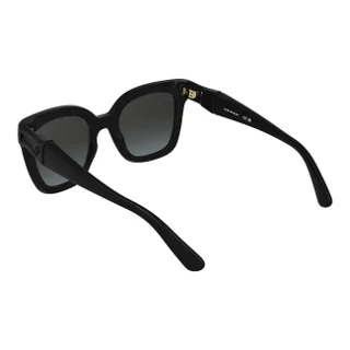 Longchamp Sunglasses LO793S