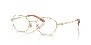 Coach Eyeglasses HC5194TD