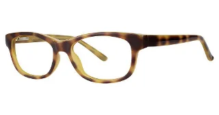 honey tortoise