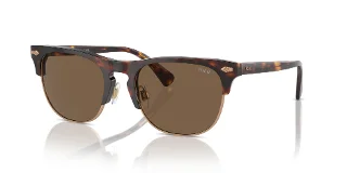 613773 Shiny Brown Tortoise