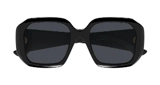 Chloe Sunglasses CH0300S