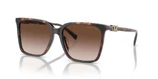 300613 Dark Tortoise