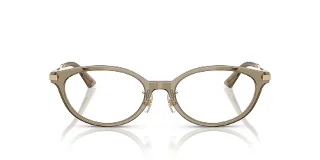 Jimmy Choo Eyeglasses JC3029D