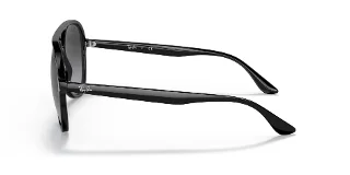 Ray Ban Sunglasses RB4376