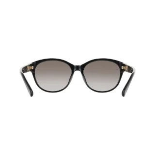 Salvatore Ferragamo Sunglasses SF2114SLB