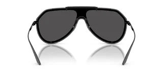 Dolce & Gabbana Sunglasses DG2309