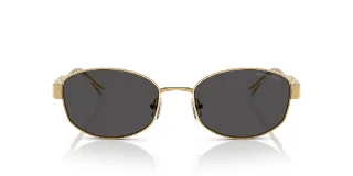 Michael Kors Sunglasses MK1161