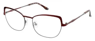 Bcbgmaxazria Eyeglasses BLAKELY