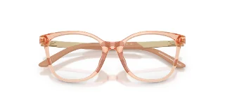 Emporio Armani Eyeglasses EK3011U
