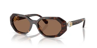 100273 Dark Havana