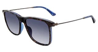 Blue Tortoise (09D4)