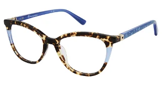 C01 Tortoise