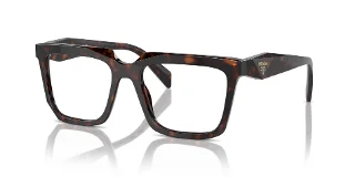 17N1O1 Root Tortoise