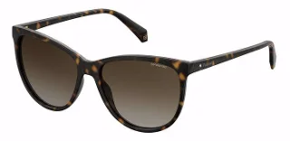 Polaroid Sunglasses PLD 4066/S