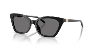 501781 Shiny Black