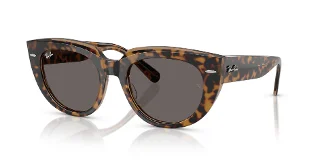 Ray Ban Sunglasses RB2286F
