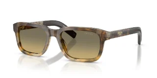 21P81B Oak Tortoise Gradient