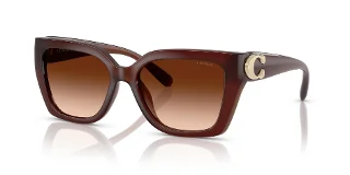 584174 Milky Hazelnut