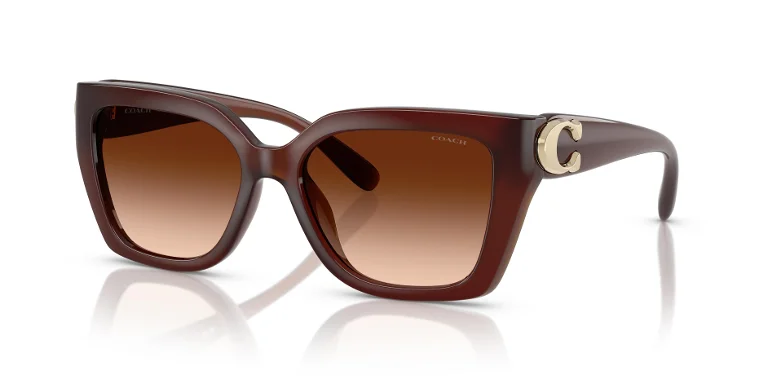 Coach Sunglasses HC8408U