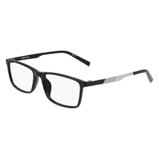 Flexon Eyeglasses J4020