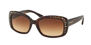 512013 Dark Tortoise