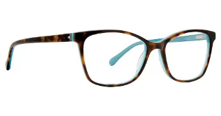Tortoise Aqua
