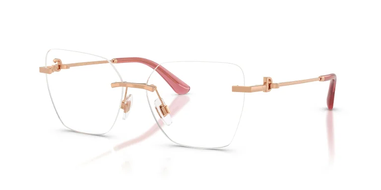 Dolce & Gabbana Eyeglasses DG1363