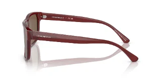 Emporio Armani Sunglasses EA4163