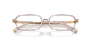 Miu Miu Eyeglasses MU01YV