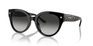 50023C Black