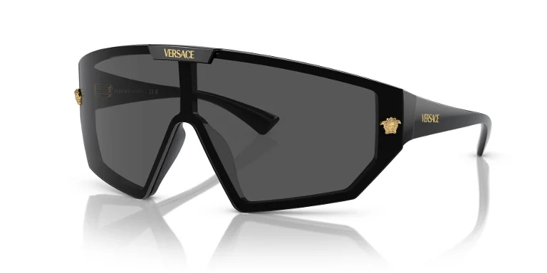 Versace Sunglasses VE4461
