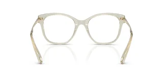 Swarovski Eyeglasses SK2044