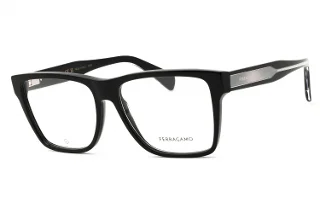 Salvatore Ferragamo Eyeglasses SF2953N