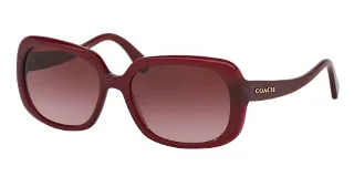 Coach Sunglasses HC8178 L1591