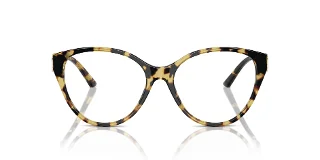 Jimmy Choo Eyeglasses JC3009