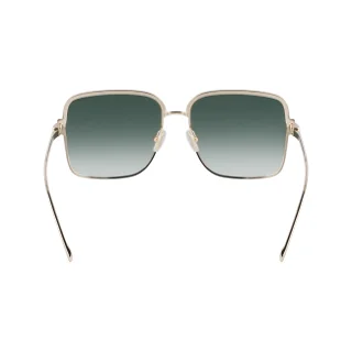 Salvatore Ferragamo Sunglasses SF317S