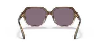 Coach Sunglasses HC8335U